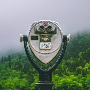 Searching - binoculars